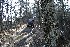 Hill Climb
